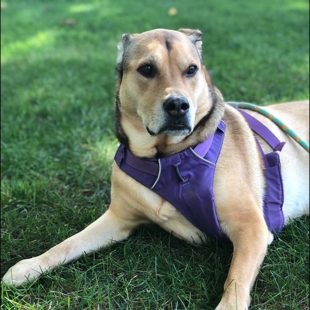 Meet your Posher, Blake